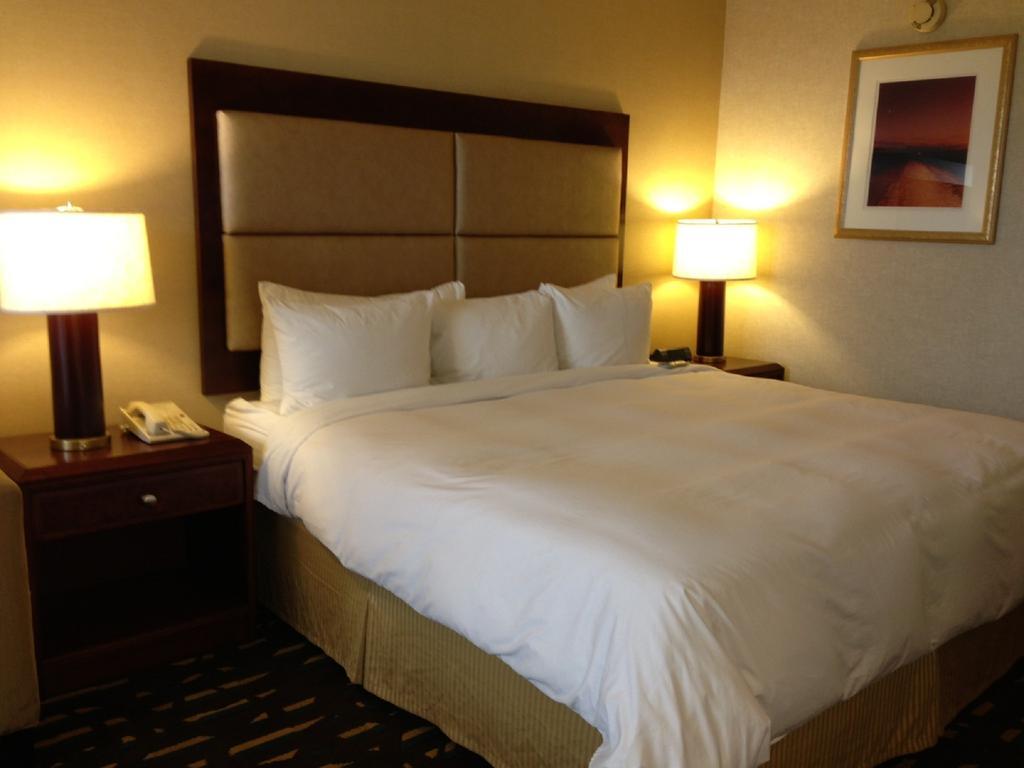 מלון רוזמונט Wyndham Chicago O'Hare מראה חיצוני תמונה