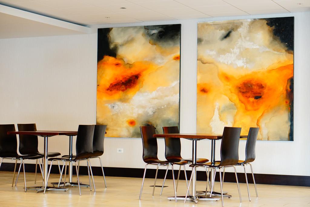 מלון רוזמונט Wyndham Chicago O'Hare מראה חיצוני תמונה