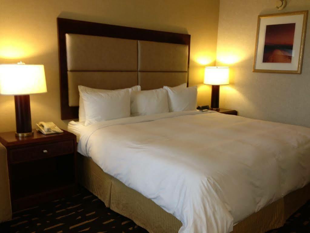 מלון רוזמונט Wyndham Chicago O'Hare מראה חיצוני תמונה